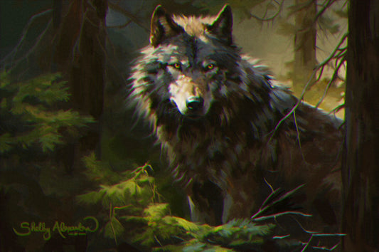 "Lone Wolf" ROLLED CANVAS Print