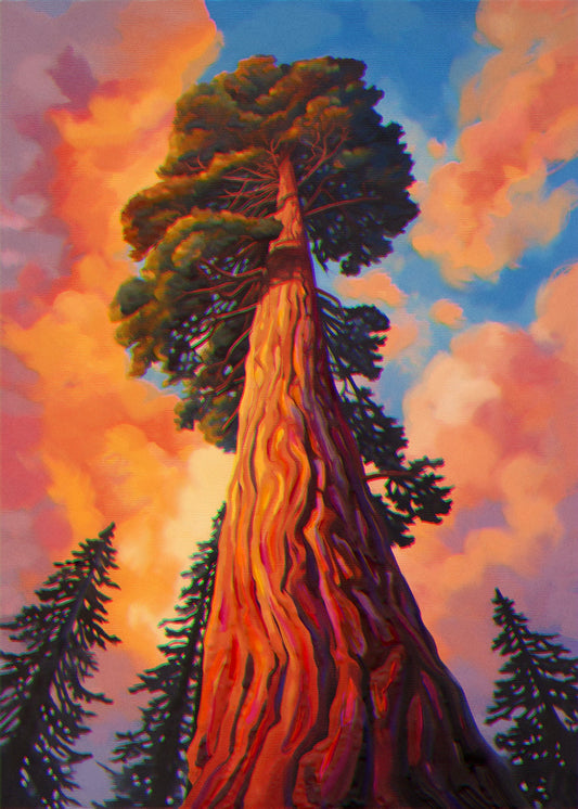 "Sequoia 02" METAL ART Print