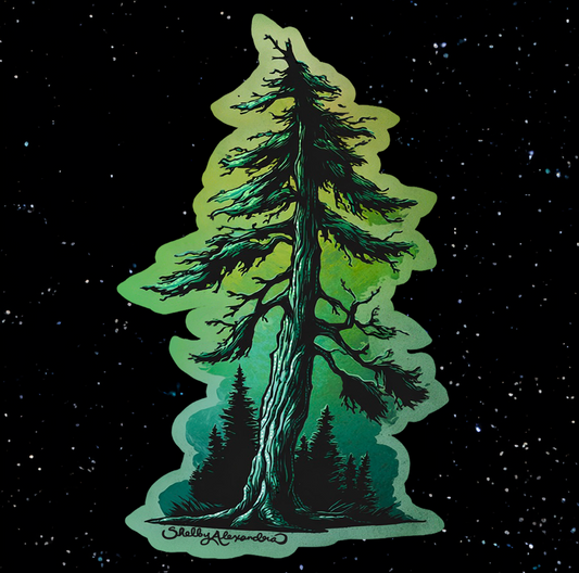Evergreen Sticker